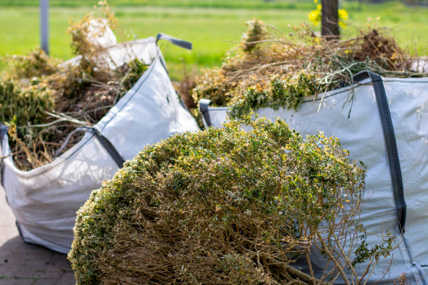 Best Attic Cleanout Services  in Chebanse, IL